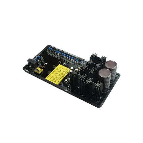 DECS100-B11 AVR Voltage Regulator for Diesel Genset Parts DECS100-B11 AVR Voltage Regulator for Diesel Genset Parts