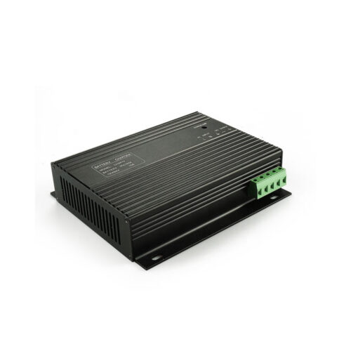 Diesel Generator Battery Charger Module